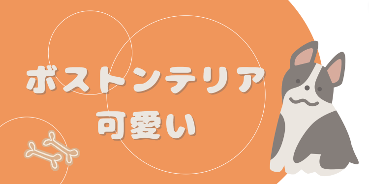 カワイイがいっぱい！ワンダーランド
